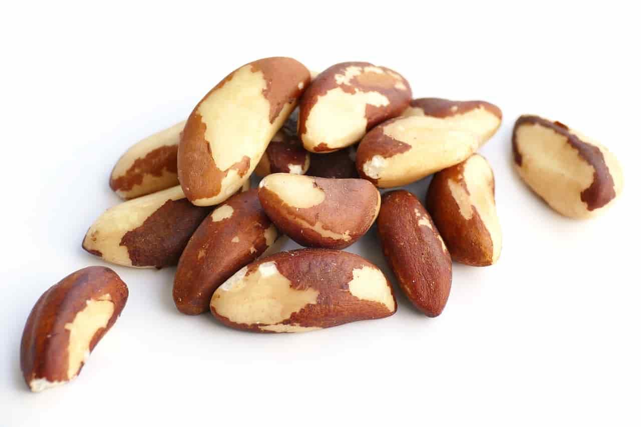 picture of brazil-nut