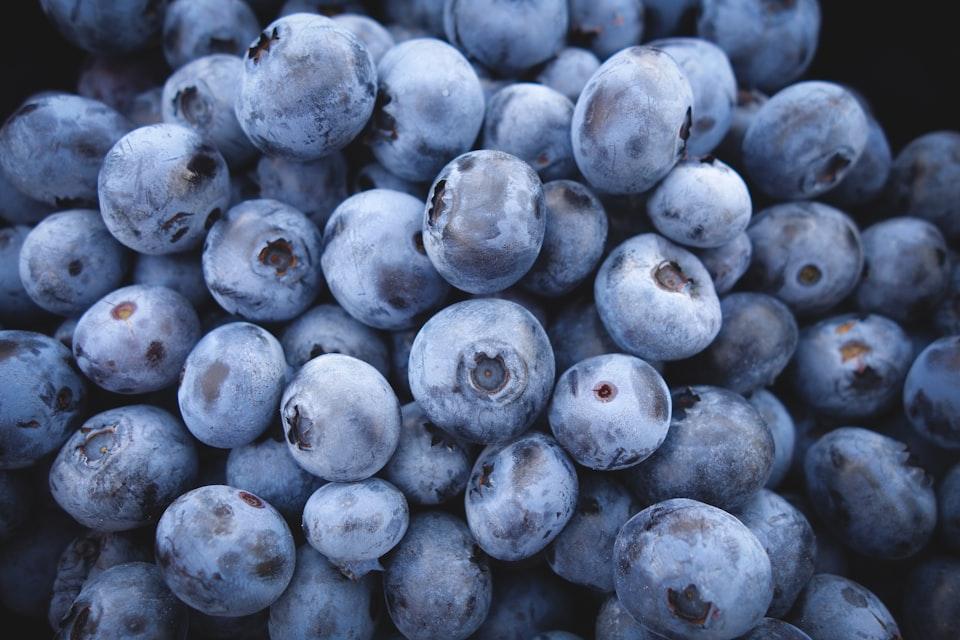 picture of blueberry