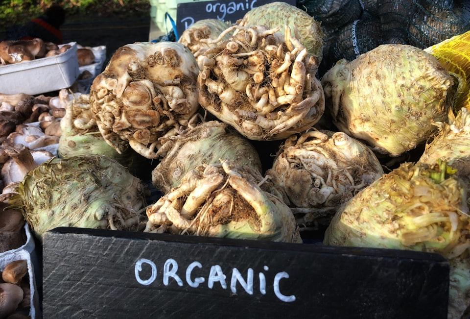 picture of celeriac