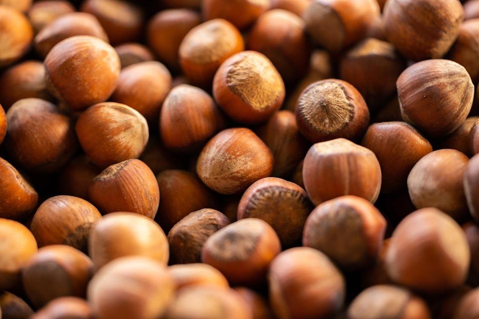 picture of hazelnut