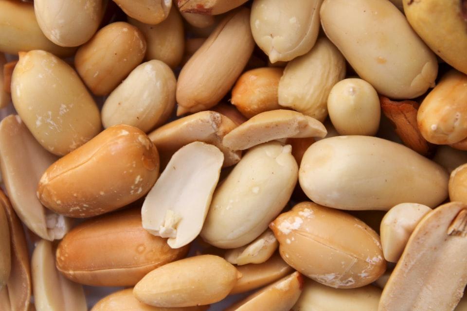 picture of peanut